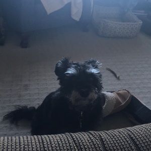 Meet your Posher, Beth